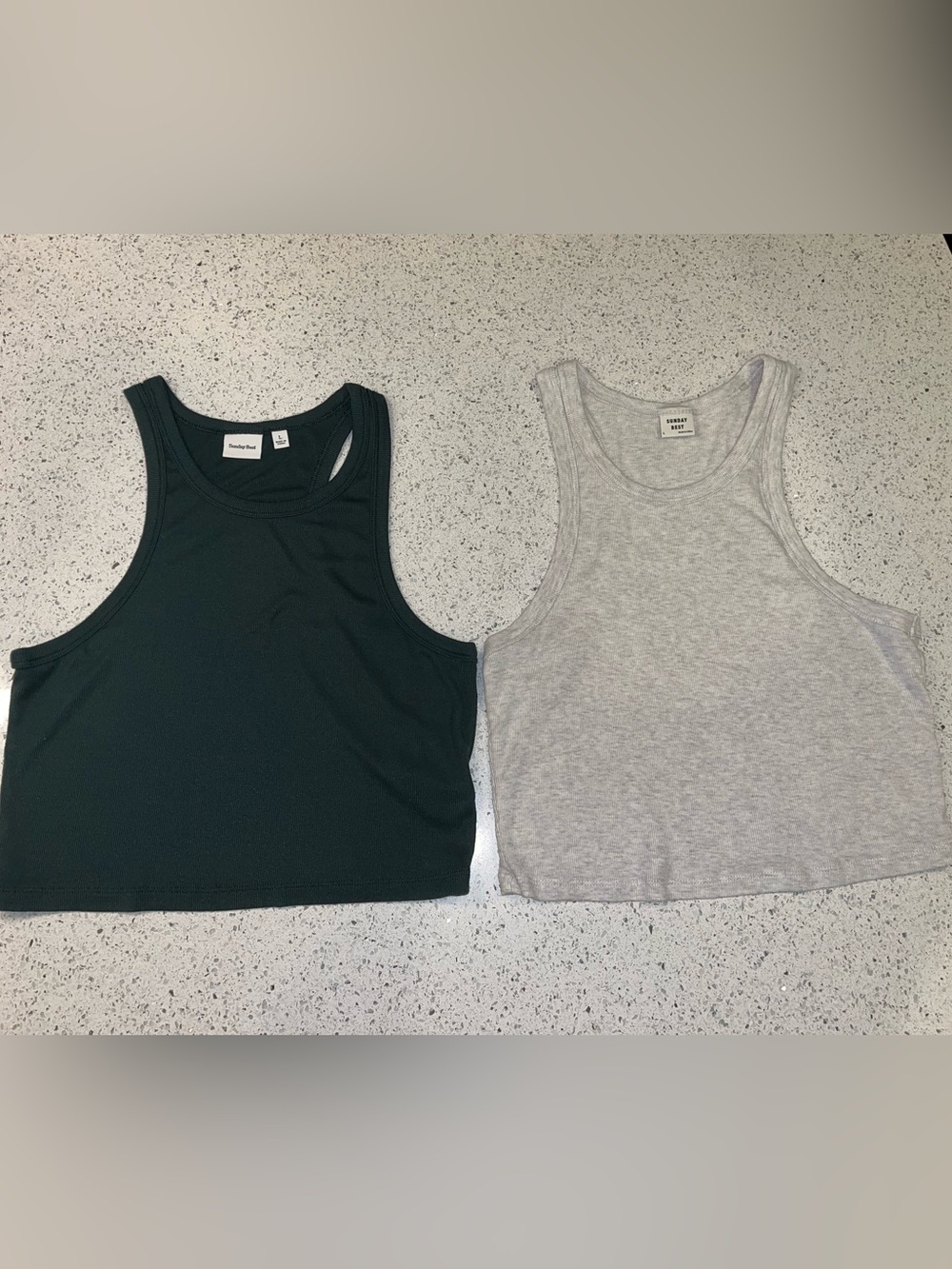 Aritzia Sunday Best Honor Tanks (Two Pieces)